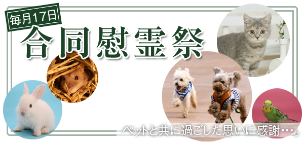 合同慰霊祭について