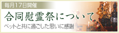 毎月17日開催　合同慰霊祭について　ペットと共に過ごした思いに感謝